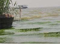 除磷剂的投加量