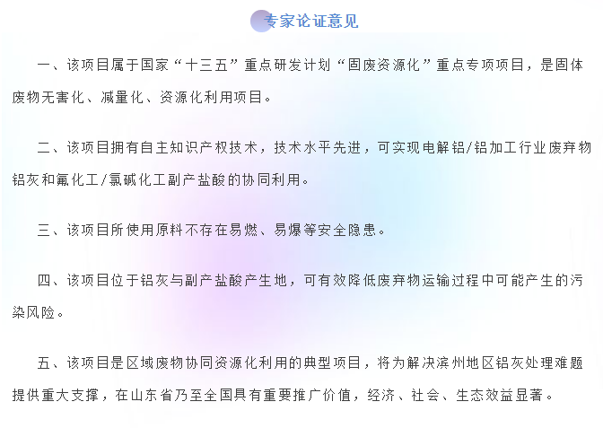 山东魏桥长隆环保科技有限公司就解决电解铝/灰铝和副产盐酸的资源化协同利用问题开展了专家论证会